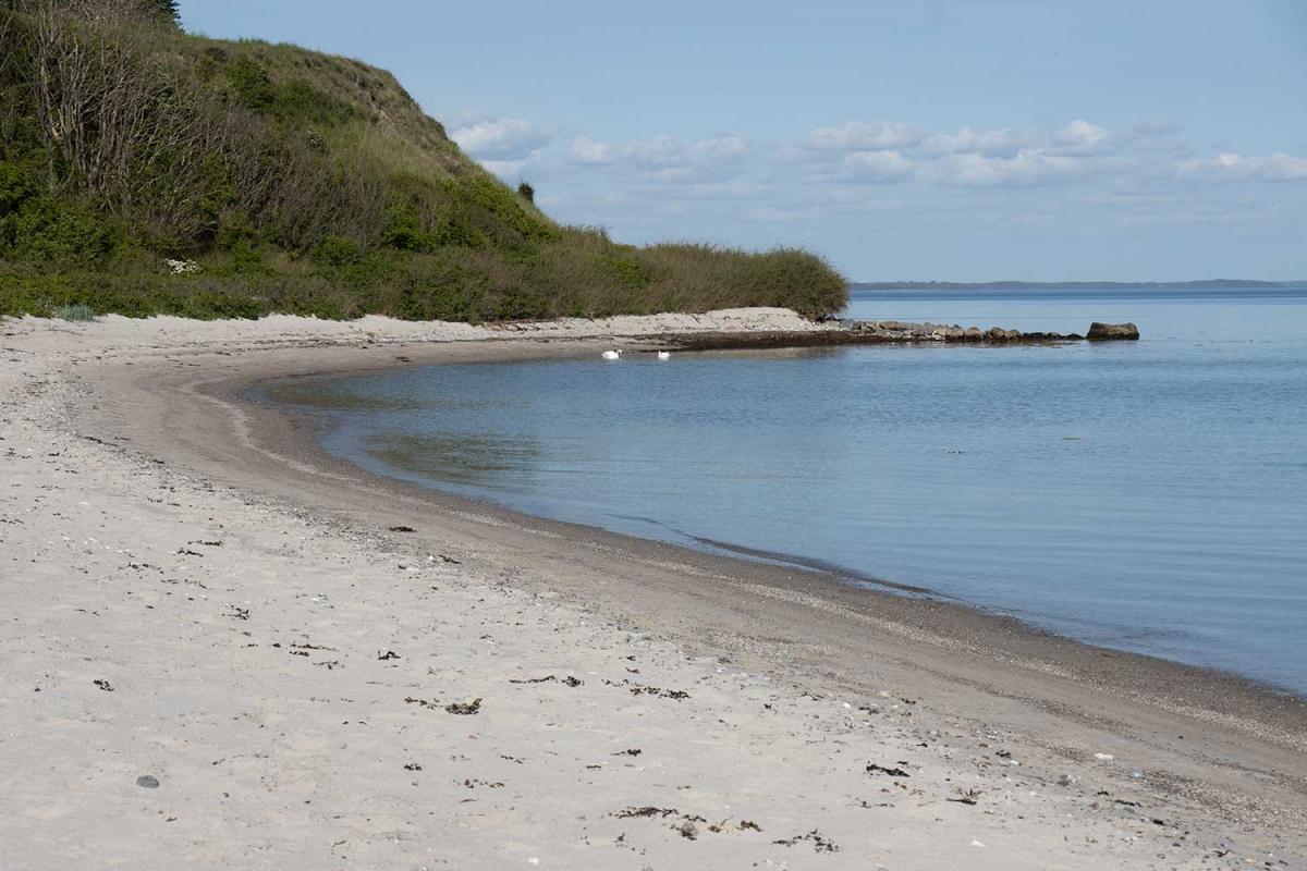 Südostküste, glasklares Wasser und ein gefiedertes Liebespaar