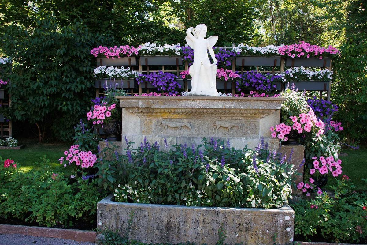 Überall Blumen, die nicht nach Wasser dürsten