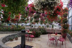 Marknesse, Orchideenhof, 