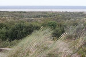 Schiermonnikoog, Insel