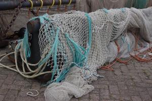 Lauwersoog, im Fischerhafen