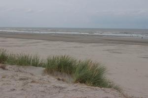 Ameland, Insel, Strand