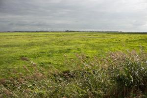 Sneekermeergebiet, am Bloksleatpolder