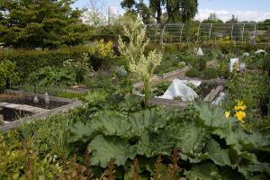 Stadtgärten, welche Privatleute pflegen und hegen