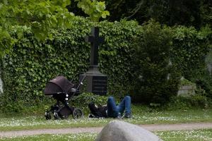 Sonnenbad mit Nachwuchs bei einem Grabstein