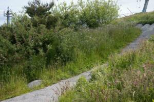 was fehlt ist eine urchige Skihütte