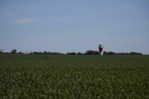 Leuchtturm im Weizenfeld