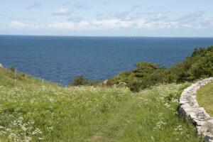 Blick auf das Kattegat