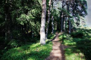 schmaler Weg der Treppenschleusen entlang