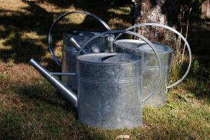 tränken, tränken ...