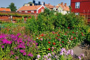 Blumen- und Gemüsegarten für die Allgemeinheit