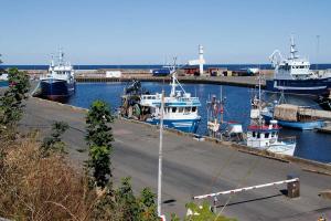 Fischkutter im dritten Hafenbecken