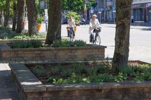 bepflanzt rund um die Linden