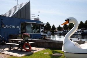 Bei der Hafeneinfahrt begrüsst uns ein Schwan