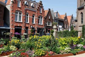 Blumenmeer im Innenhof des Museums,  die Sonderausstellung trägt das Thema Pflanzen