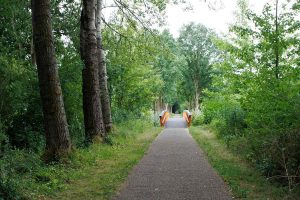 Naturpark, kein Tier, keinen Vogel gesehen