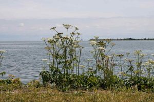 Blick zum Markermeer 