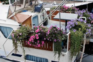 verkommenes Boot mit Blumenkisten
