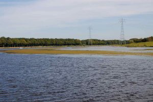 Seichte Wasserflächen